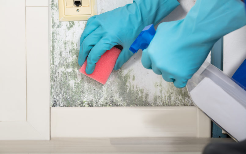 Health Problems Caused by Mold…and What to Do About It