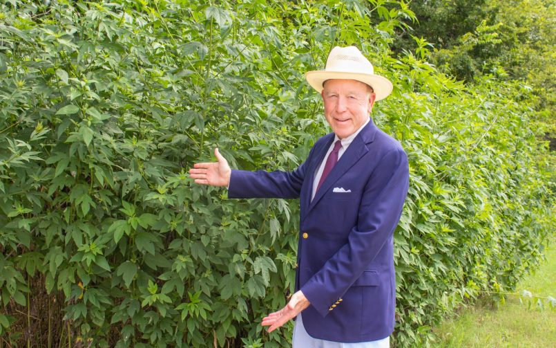 Dr. Steven Hotze standing in front of tall green ragweed plants