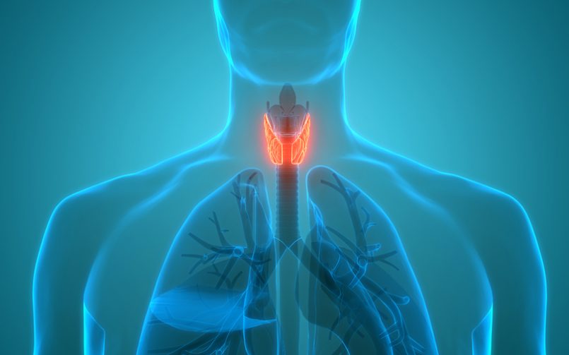 image of thyroid gland